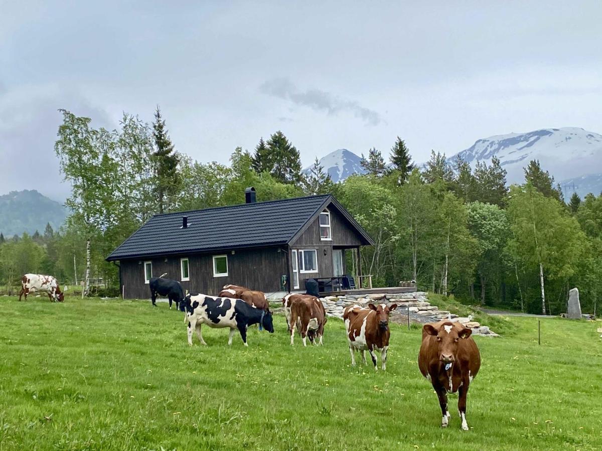 Villa Heinali Hytta Isfjorden Exterior foto